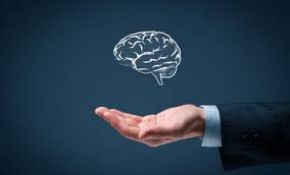 Intellectual Property and Technology Law